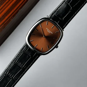 Chocolate Dial & Black Strap